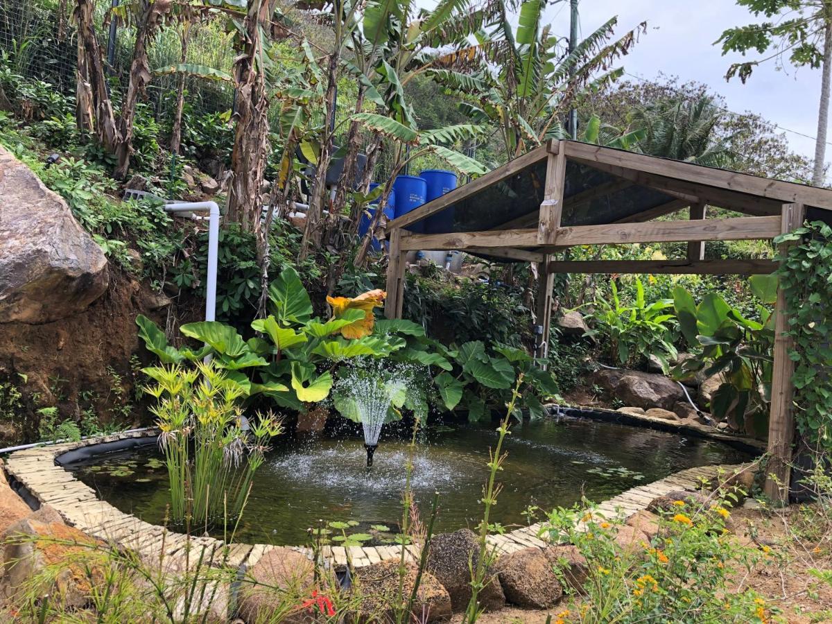 Paradise Chalets Yoga&Wellness Takamaka Eksteriør billede