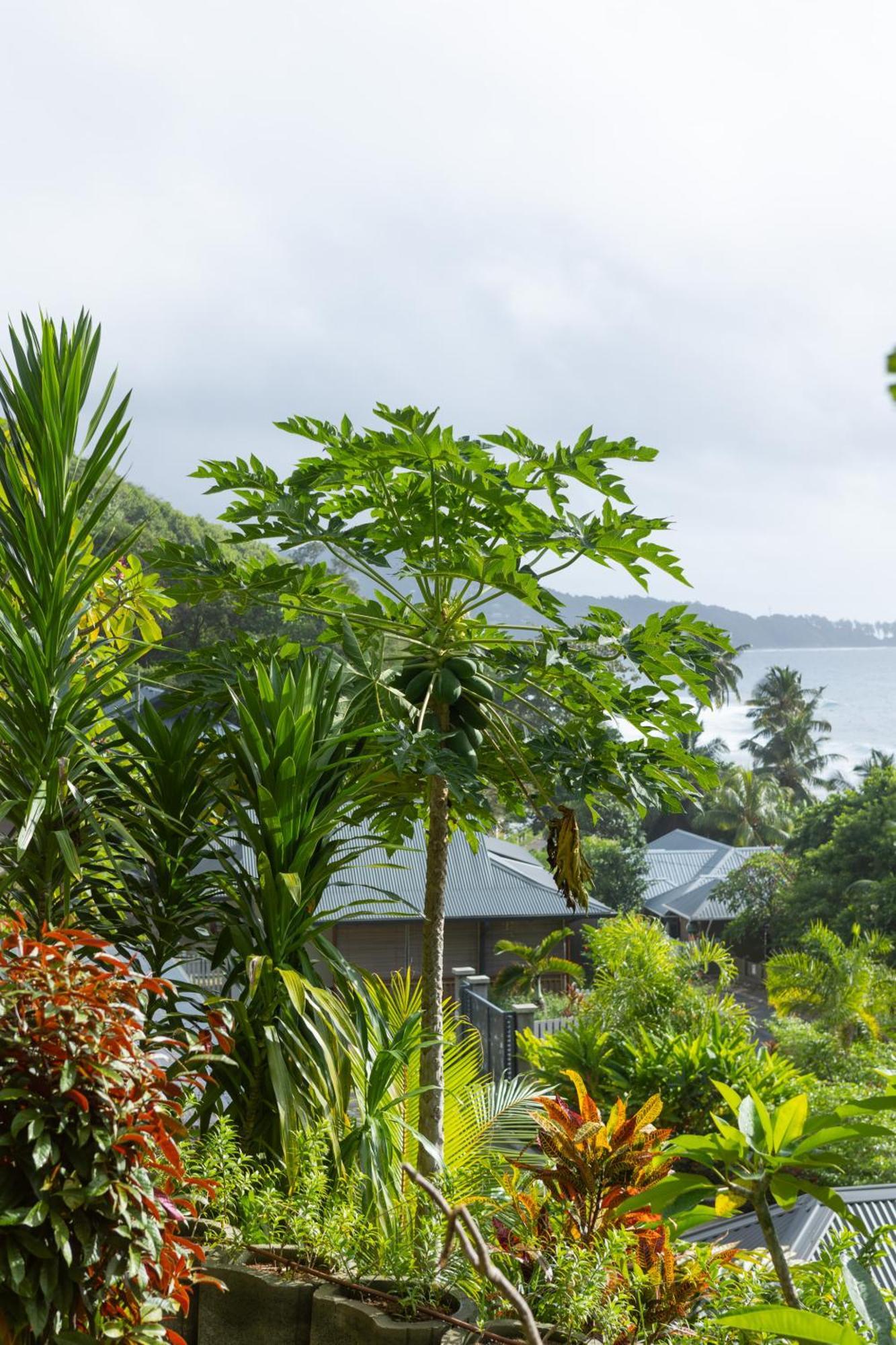 Paradise Chalets Yoga&Wellness Takamaka Eksteriør billede