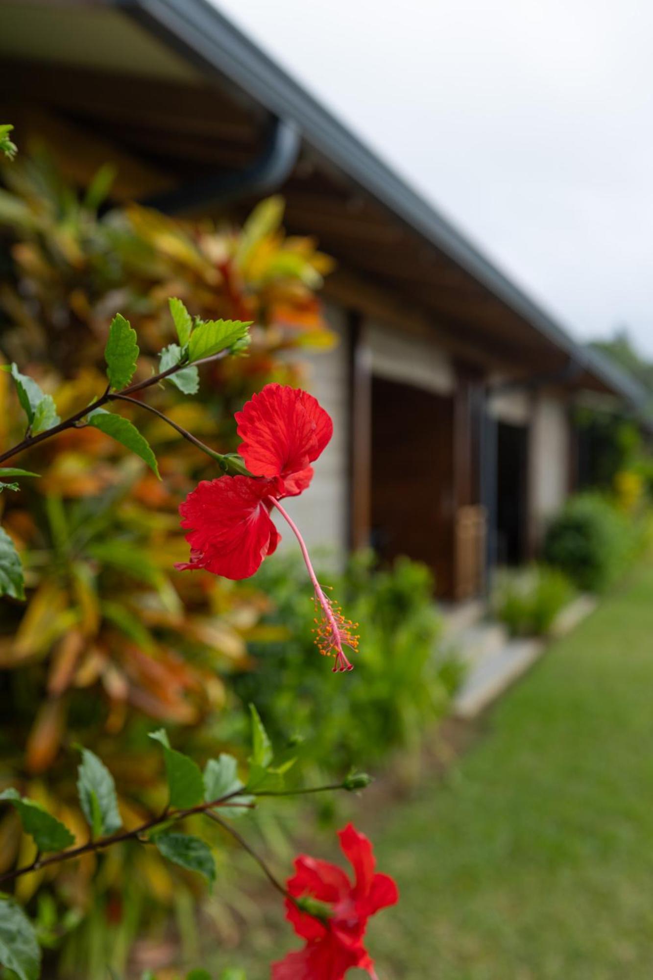Paradise Chalets Yoga&Wellness Takamaka Eksteriør billede